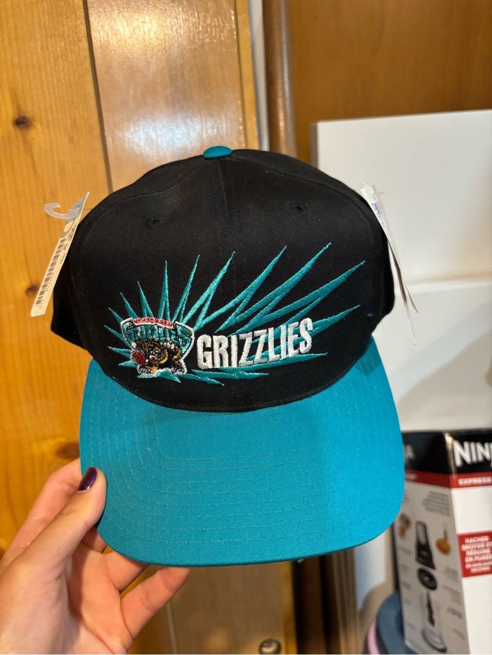 NBA Grizzlies Black & Teal Snapback Hat